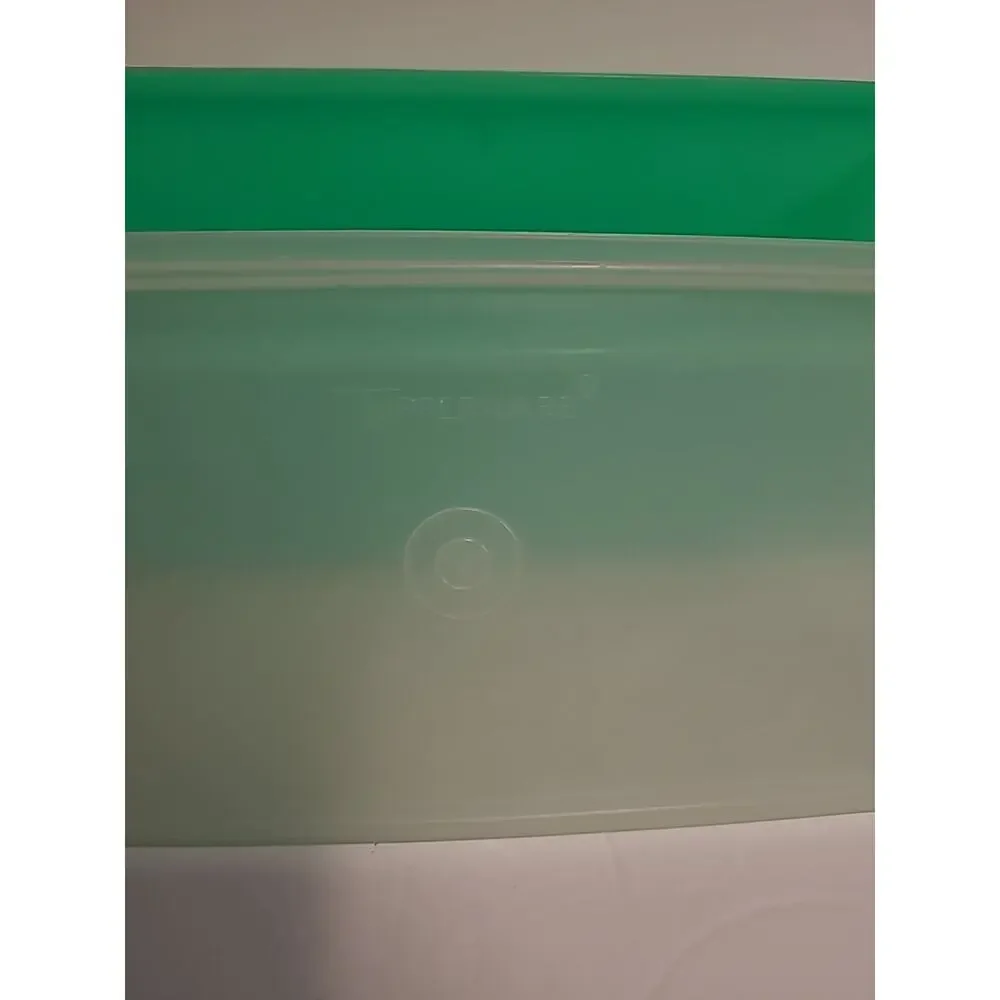 Tupperware Celery Vegetable Crisper Keeper - Vintage - Jadite Green USA w/Insert